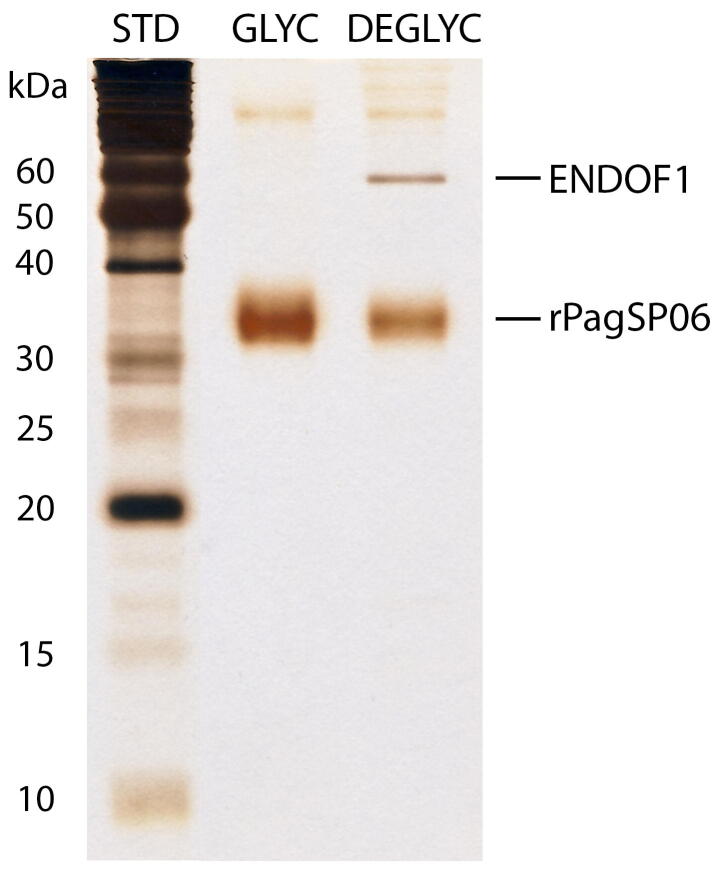 Supplementary figure 2