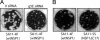 Fig. 9.