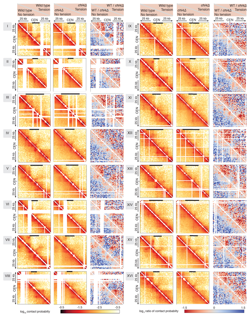 Extended Data Fig. 7