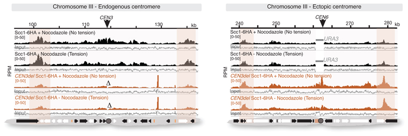 Extended Data Fig. 3