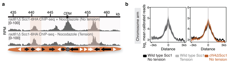 Extended Data Fig. 1