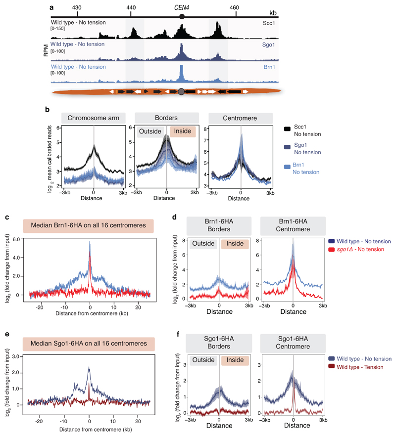 Extended Data Fig. 4