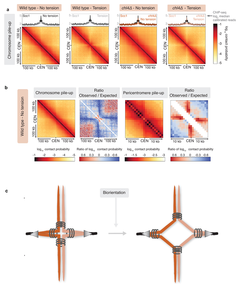 Extended Data Fig. 6