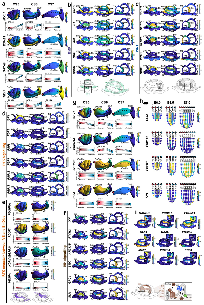 Extended Data Figure 4