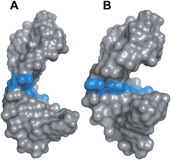 FIGURE 9.