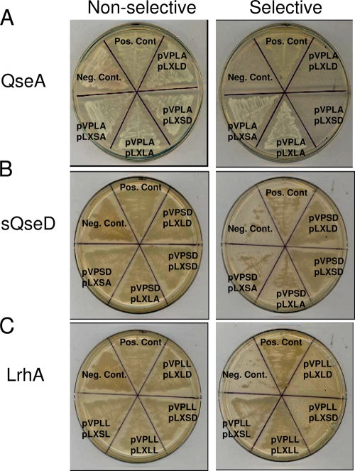 FIG. 6.