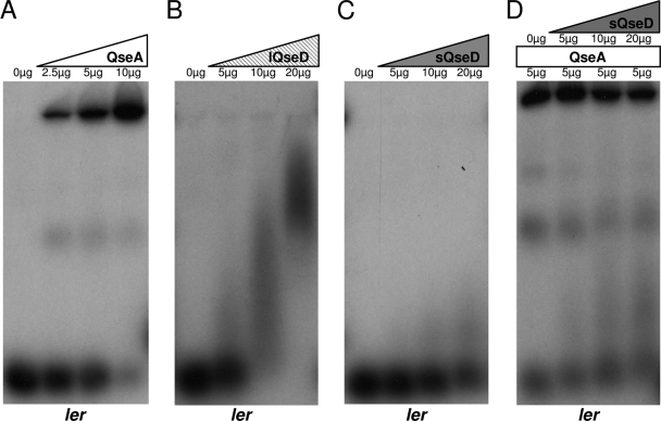 FIG. 5.