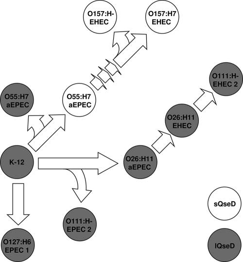 FIG. 8.