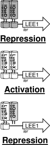 FIG. 7.