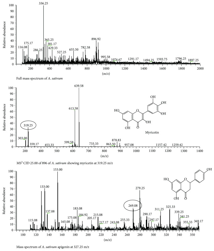 Figure 7