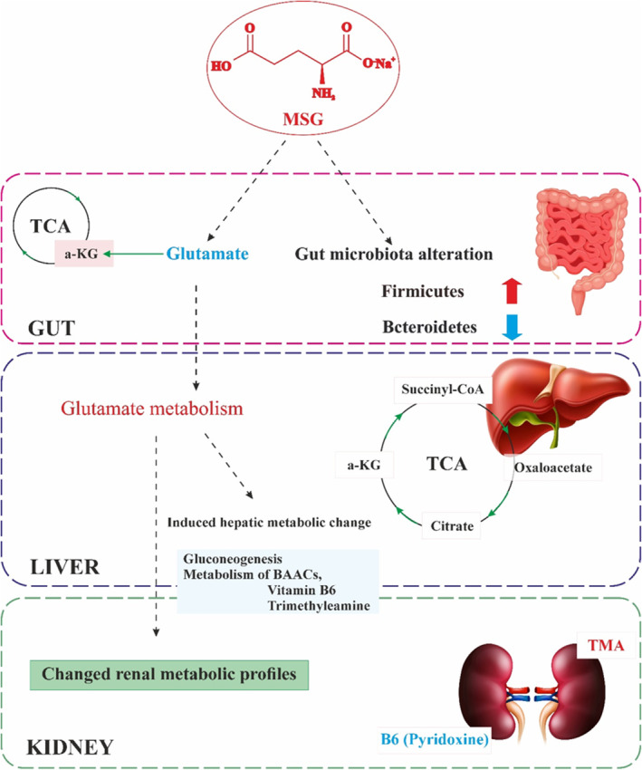 FIGURE 2