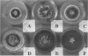 108