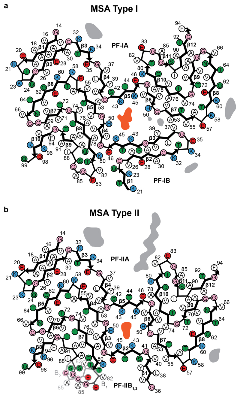 Extended Data Figure 5