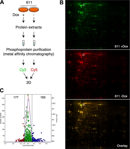 FIGURE 3.