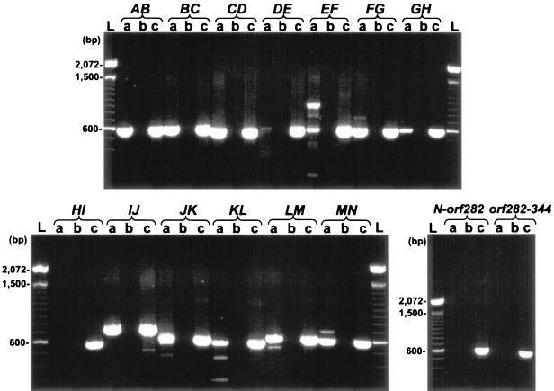 FIG. 2.