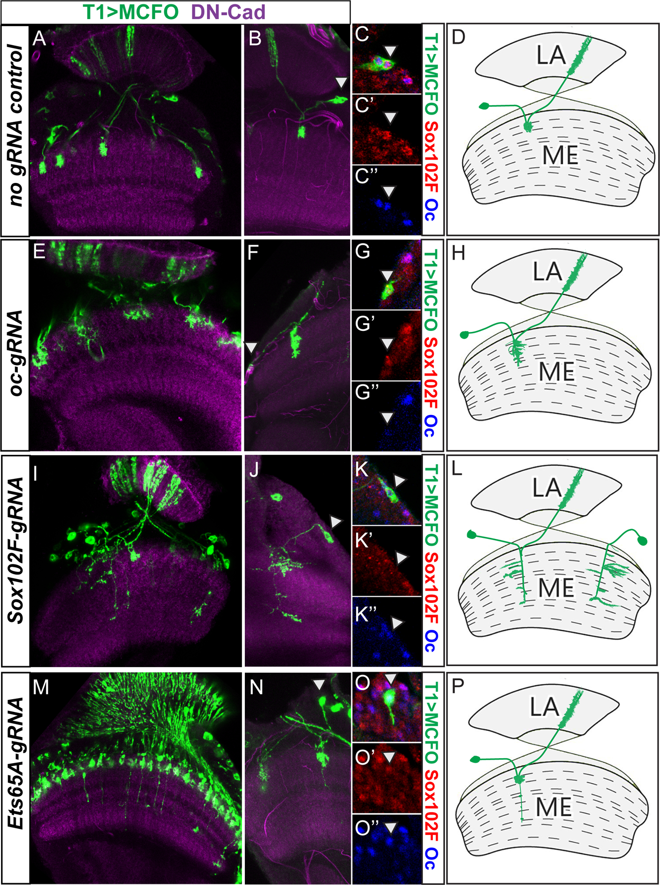 Figure 3.