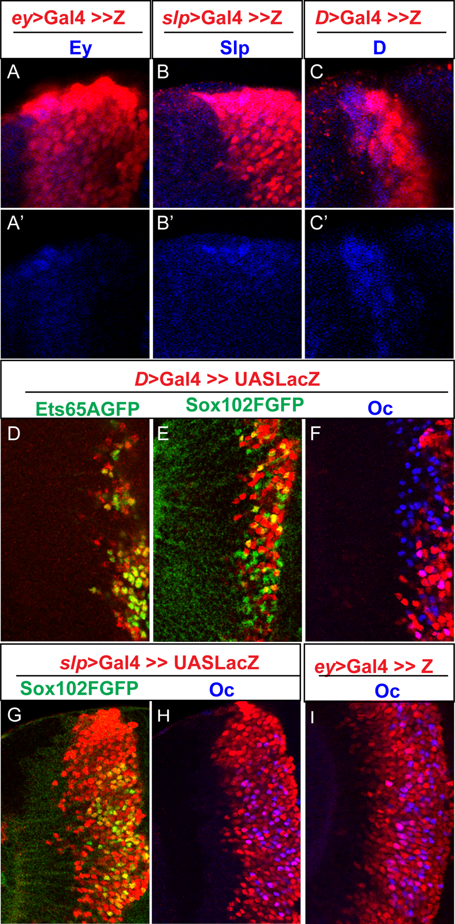 Figure 4.