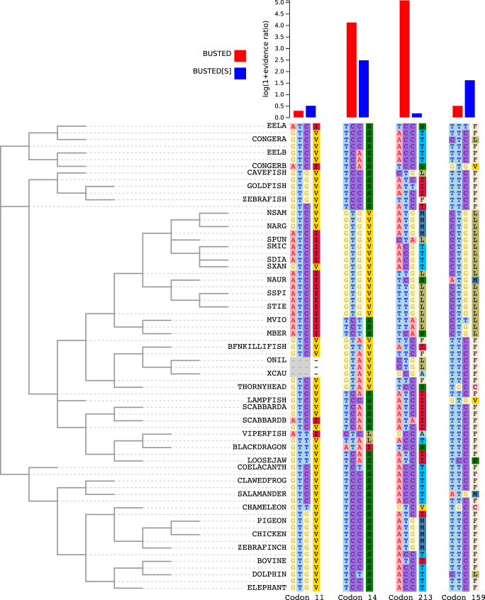 Fig. 3.