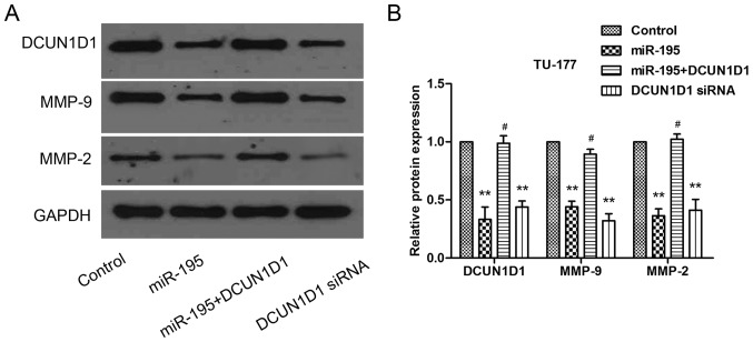 Figure 9.