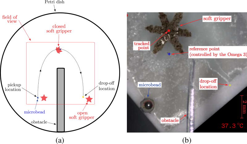 Fig. 9