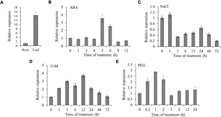 FIGURE 4