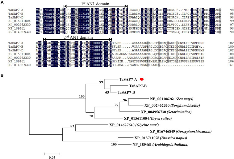 FIGURE 2