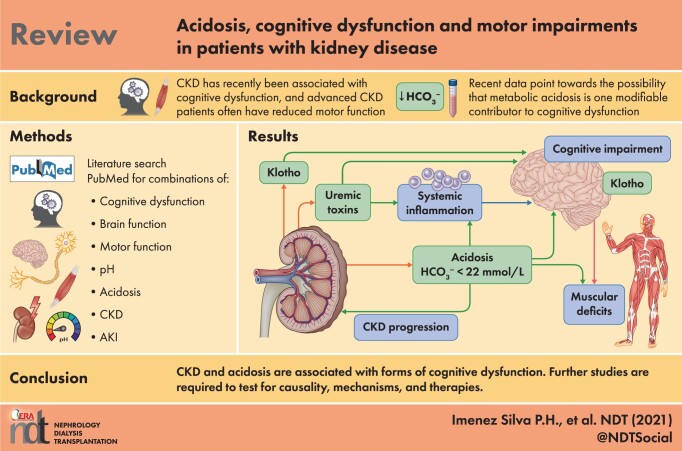 Graphical Abstract