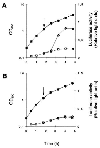 FIG. 5