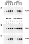 FIG. 6