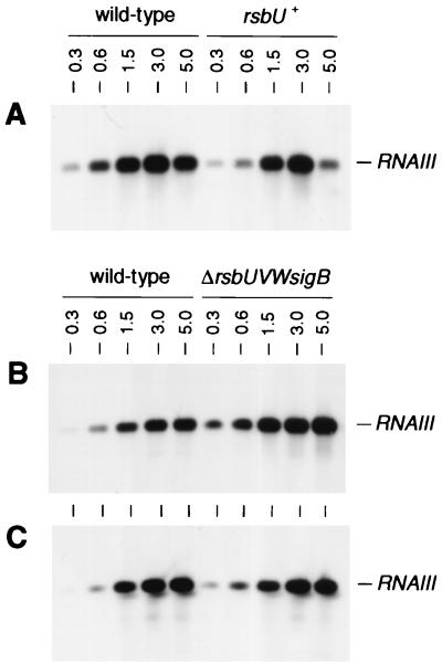 FIG. 6