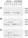 FIG. 3