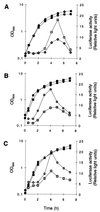 FIG. 7