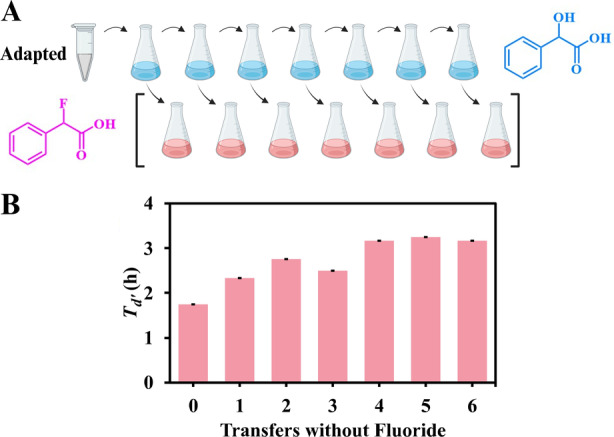 FIGURE 3