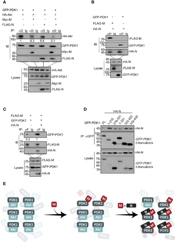 Figure 3