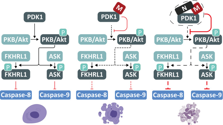 Figure 6