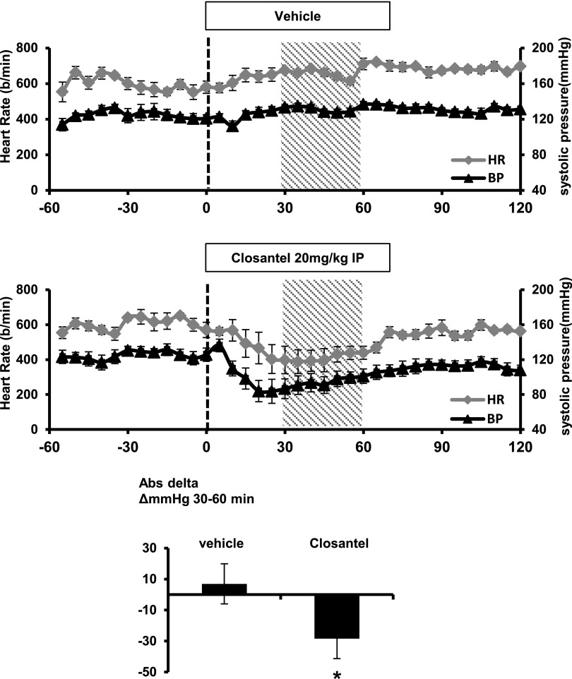 Figure 12.