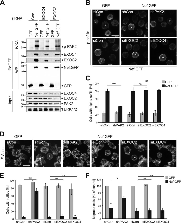 FIG 3 