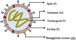 Figure 1: