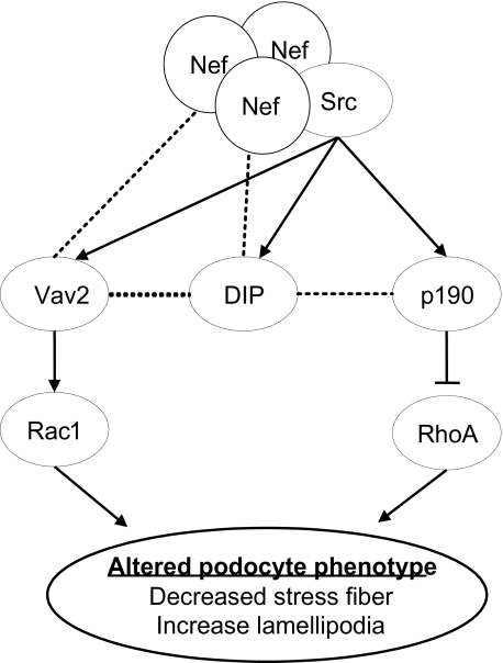 FIGURE 10.