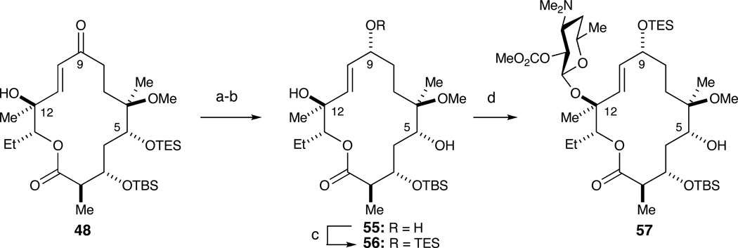 Scheme 11