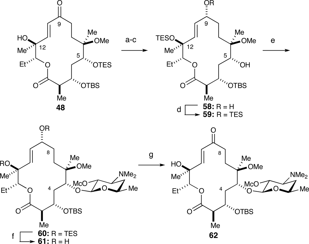 Scheme 12