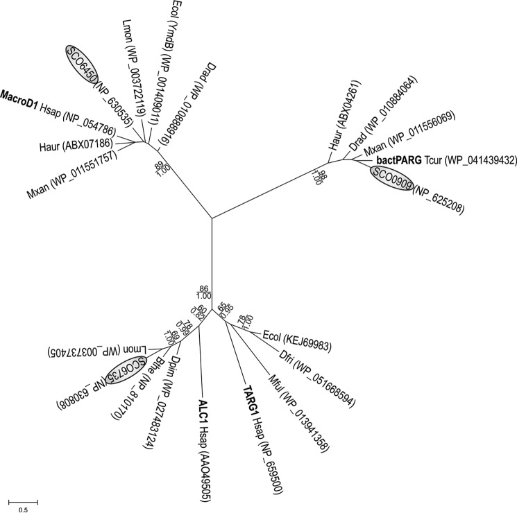 FIGURE 1.