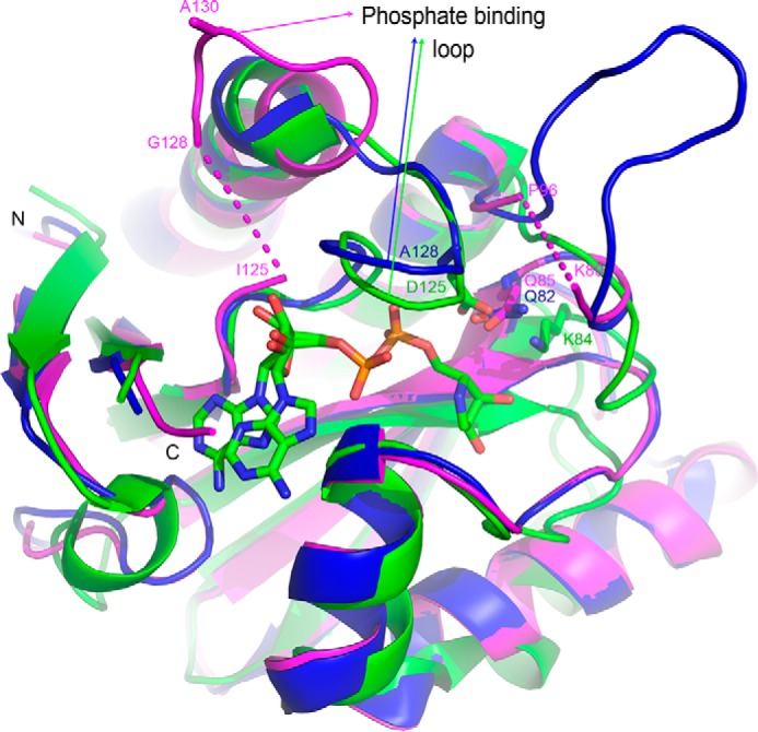 FIGURE 4.