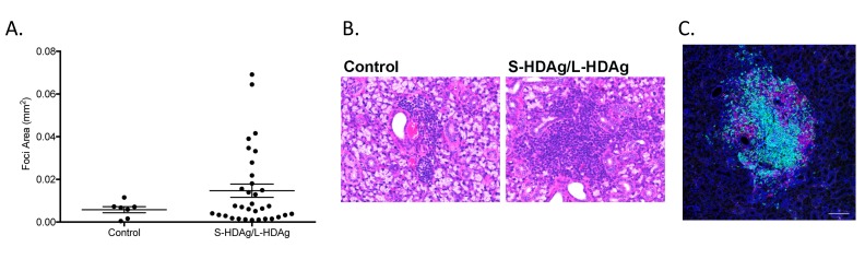 Supplemental Figure 3.