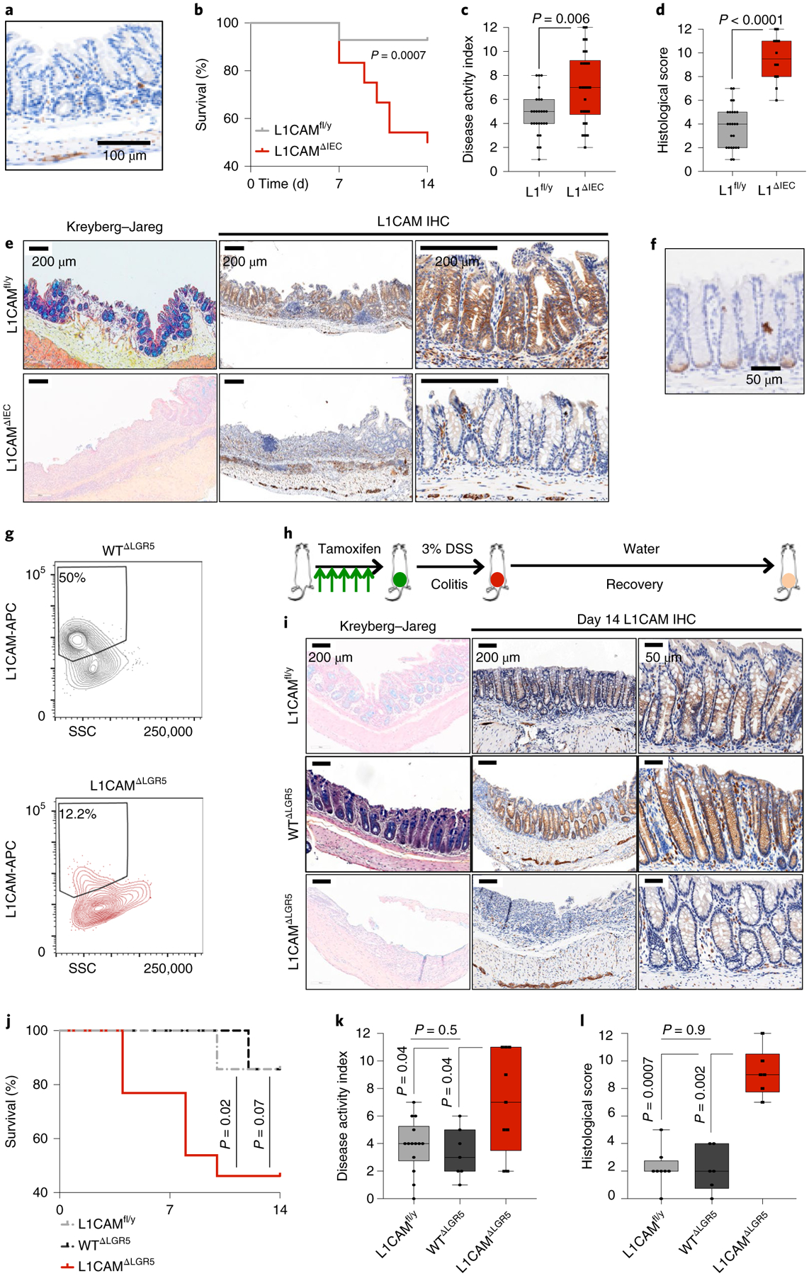 Fig. 4 |