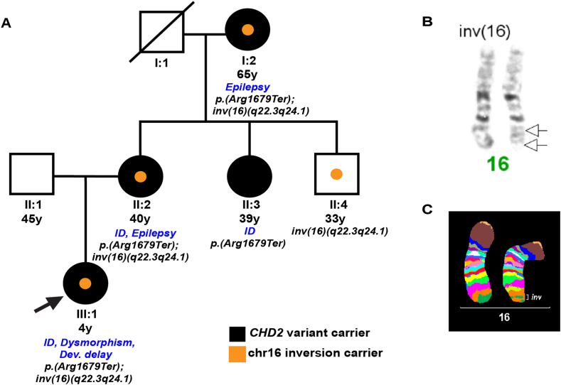 Fig. 1