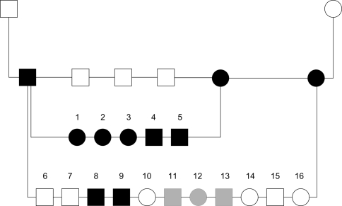 Fig. 2