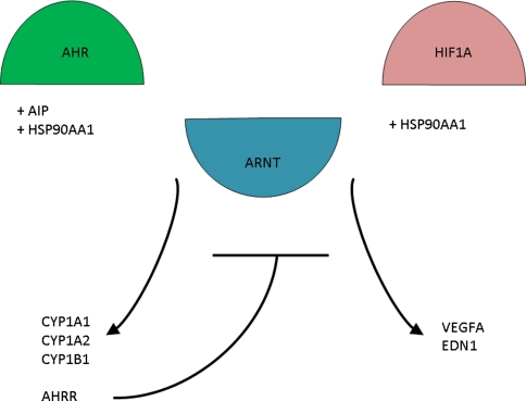 Fig. 4