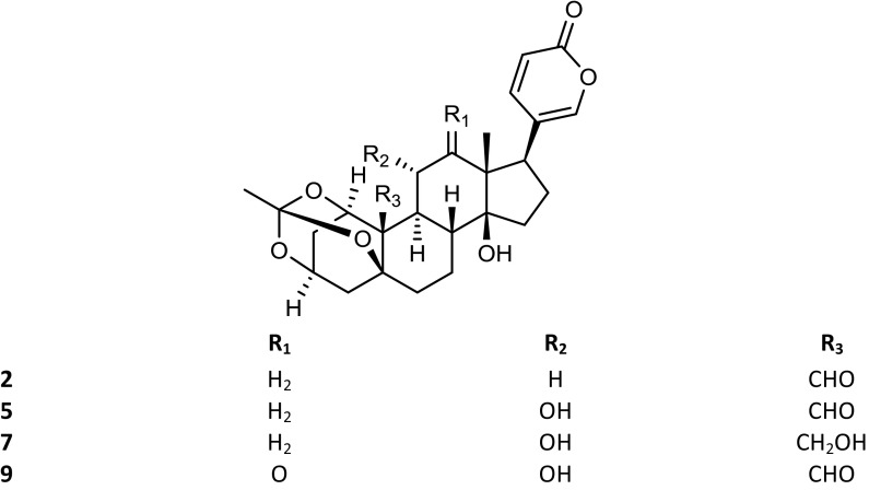 Fig. 2