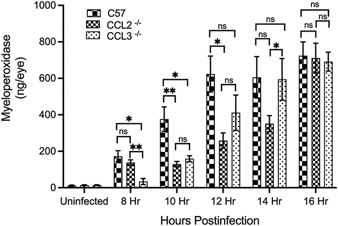 Fig. 7: